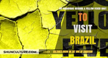 Do Canadians Need a Yellow Fever Shot for Brazil Travel?