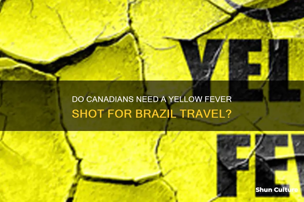 do canadians require a yellow fever shot to visit brazil