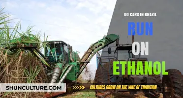 Brazil's Ethanol Revolution: Do Cars Really Run on Sugarcane Fuel?