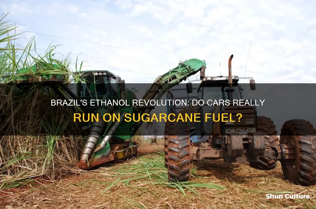 do cars in brazil run on ethanol