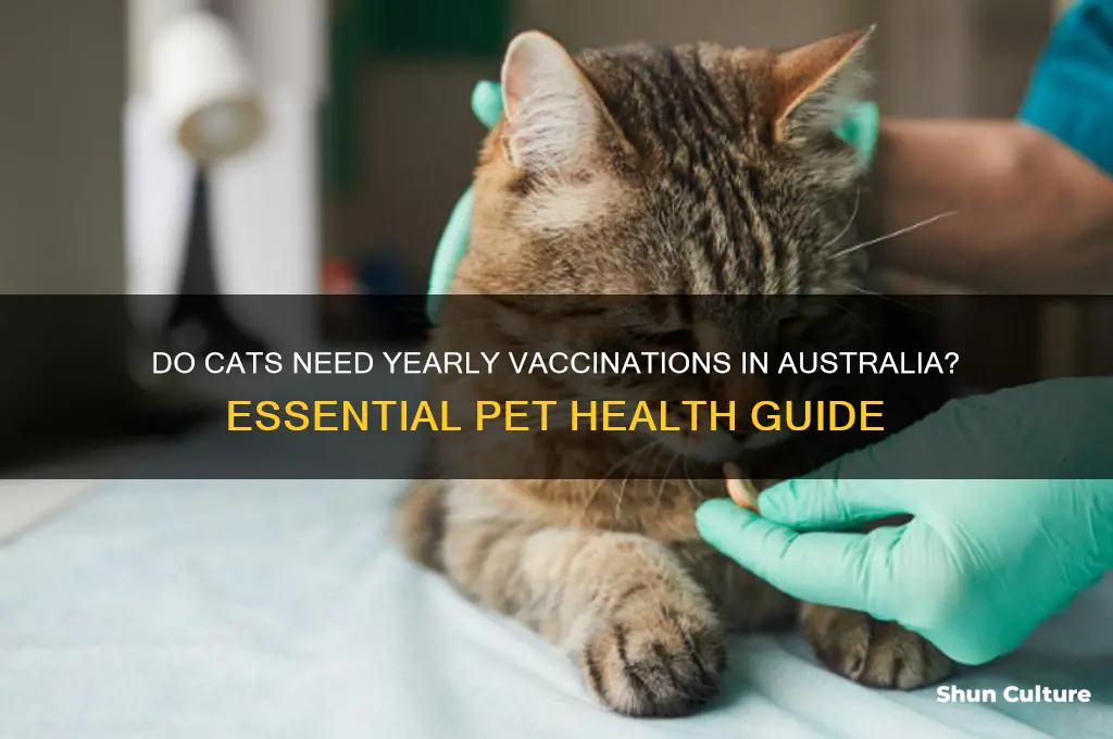 do cats need yearly vaccinations australia