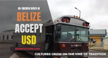 Traveling in Belize? USD is Accepted on Chicken Buses