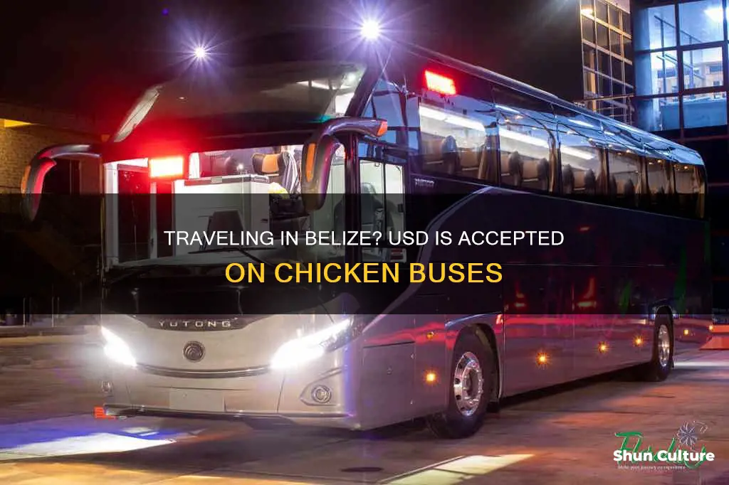 do chicken buses in belize accept usd