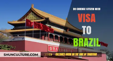 Do Chinese Citizens Need a Visa to Visit Brazil?