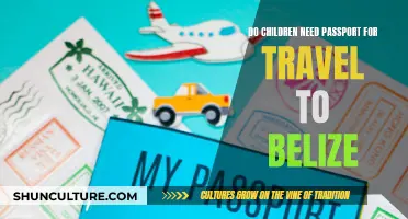 Traveling to Belize? Child Passport Requirements Explained