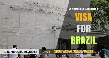 Do Chinese Citizens Need a Visa for Brazil? Find Out Here