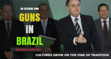 Brazil's Gun Ownership Laws: Do Citizens Have the Right to Bear Arms?