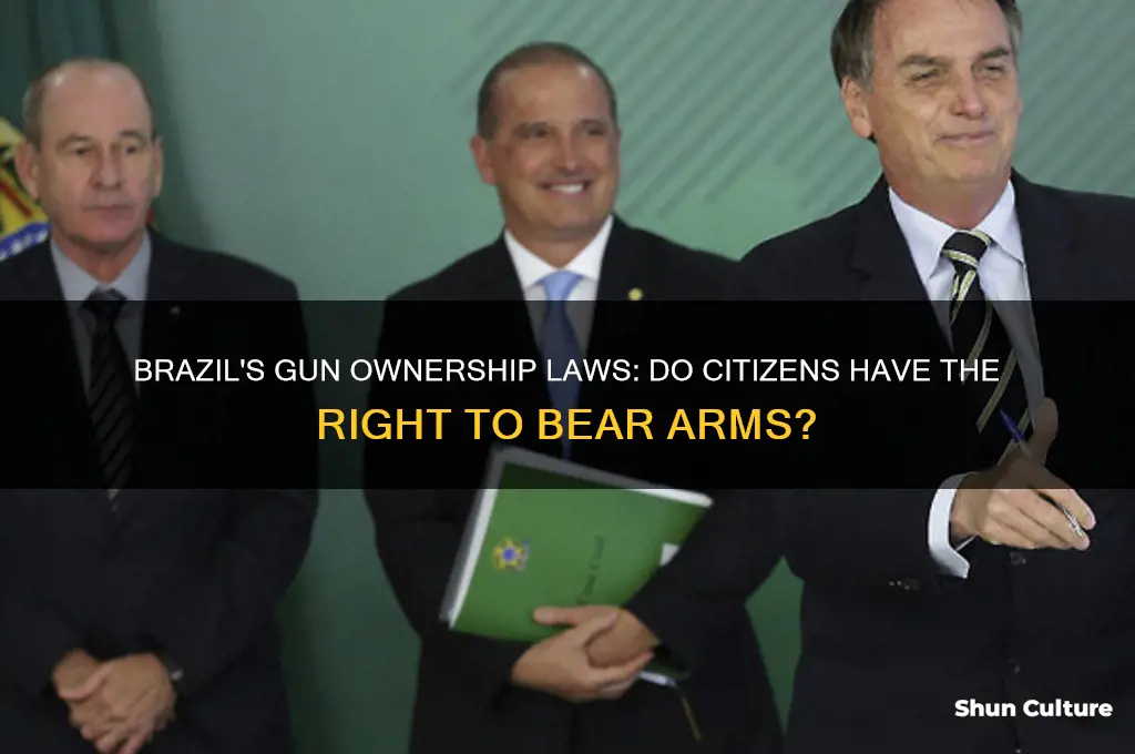 do citizens own guns in brazil