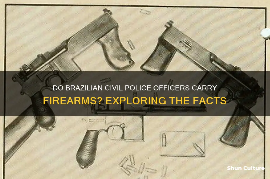 do civil police in brazil carry guns