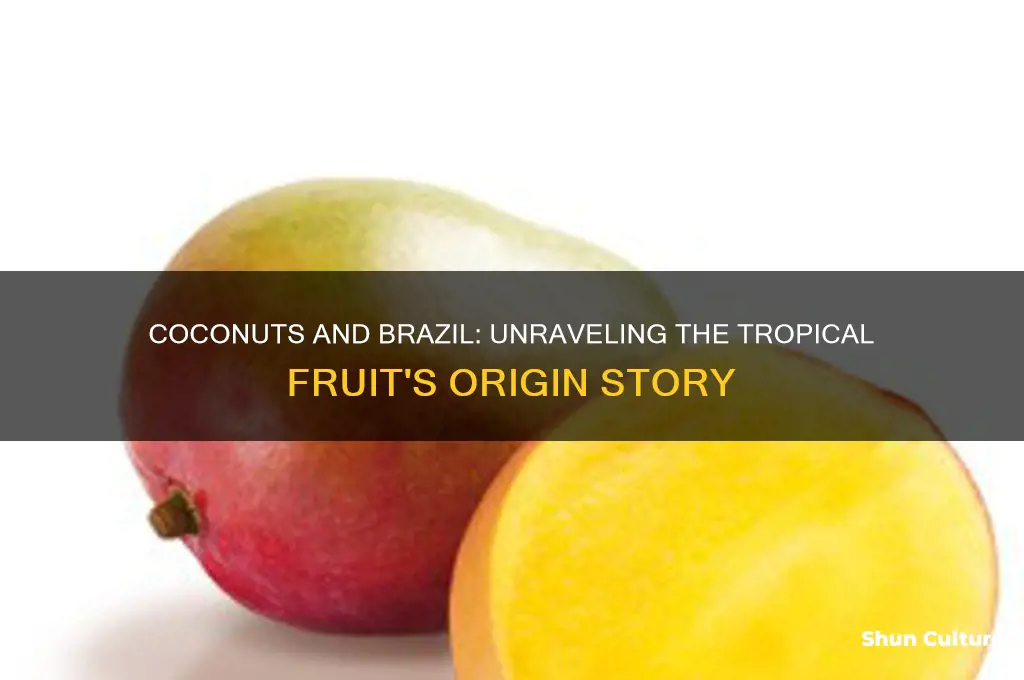 do coconuts come from brazil