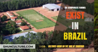 Corporate Farms in Brazil: Unveiling the Agricultural Landscape