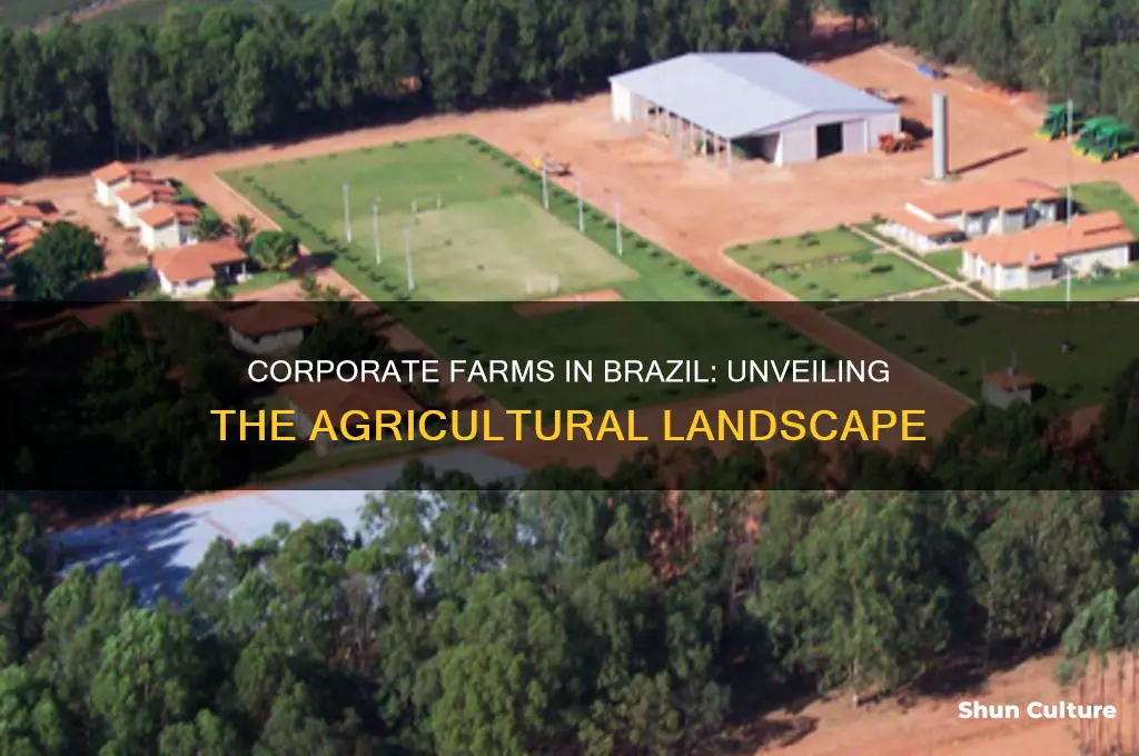 do corporate farms exist in brazil