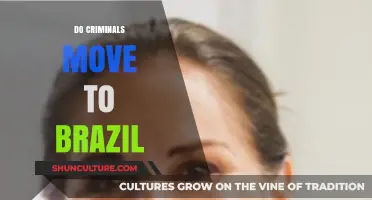 Do Criminals Relocate to Brazil? Exploring the Myths and Realities