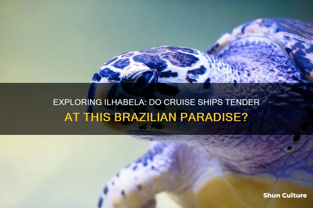 do cruise boats tender at ilhabela brazil