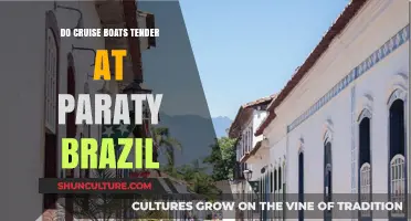 Cruise Tendering in Paraty, Brazil: What You Need to Know