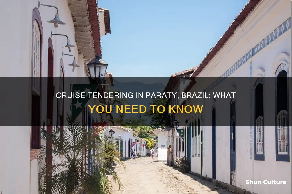do cruise boats tender at paraty brazil