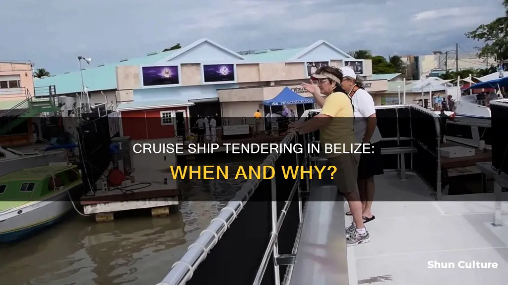 do cruise ship need to tender in belize