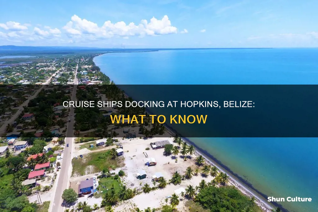 do cruise ships dock at hopkins belize