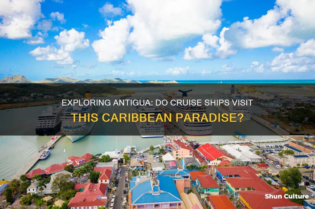 do cruise ships go to antigua
