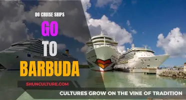 Cruise Ships in Barbuda: An Island Paradise?