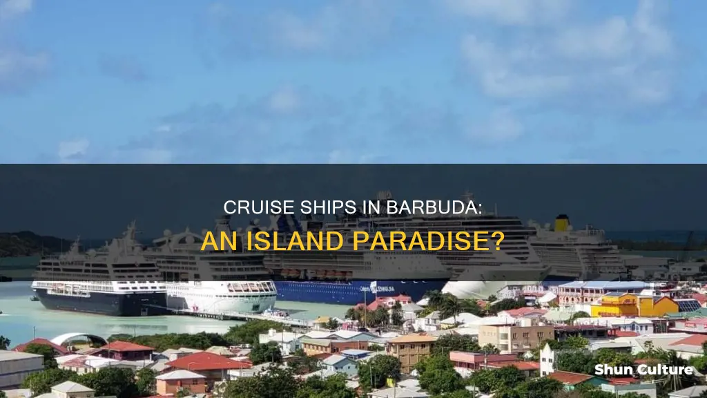 do cruise ships go to barbuda