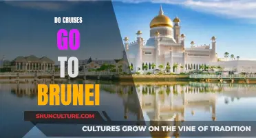 Exploring Brunei: A Cruise Destination Worth Considering