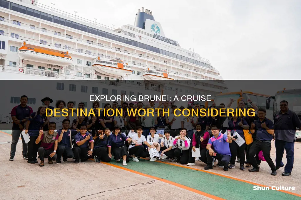 do cruises go to brunei