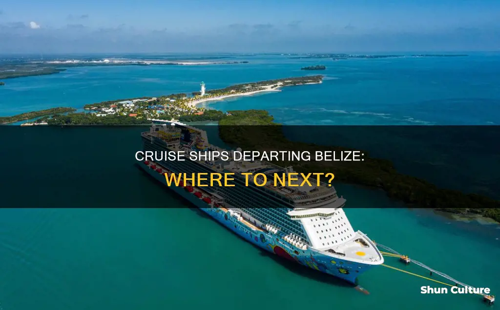 do crusie ships leave from belize