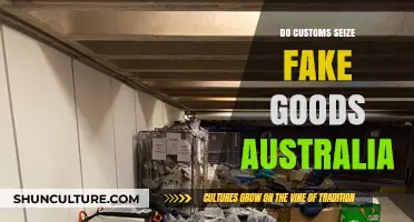 Customs Crackdown: Fake Goods Seized in Australia