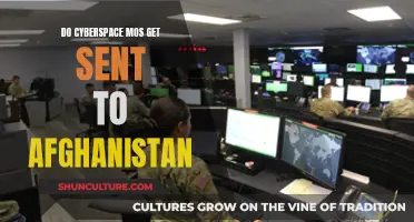 The Deployment Question: Cyberspace Operations and Afghanistan Theater