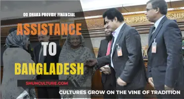 Dhaka's Role in Providing Financial Assistance to Bangladesh: A Comprehensive Analysis