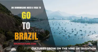Do Dominicans Need a Visa to Travel to Brazil?