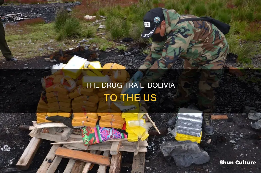 do drugs from bolivia come into the us