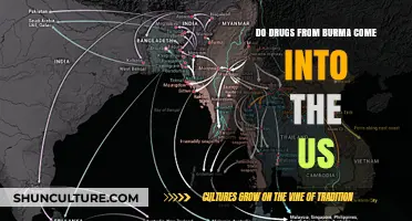 Tracing the Illicit Drug Trade: Burma's Impact on the US Market