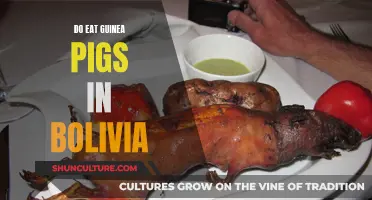 Guinea Pigs: Bolivia's Traditional Delicacy