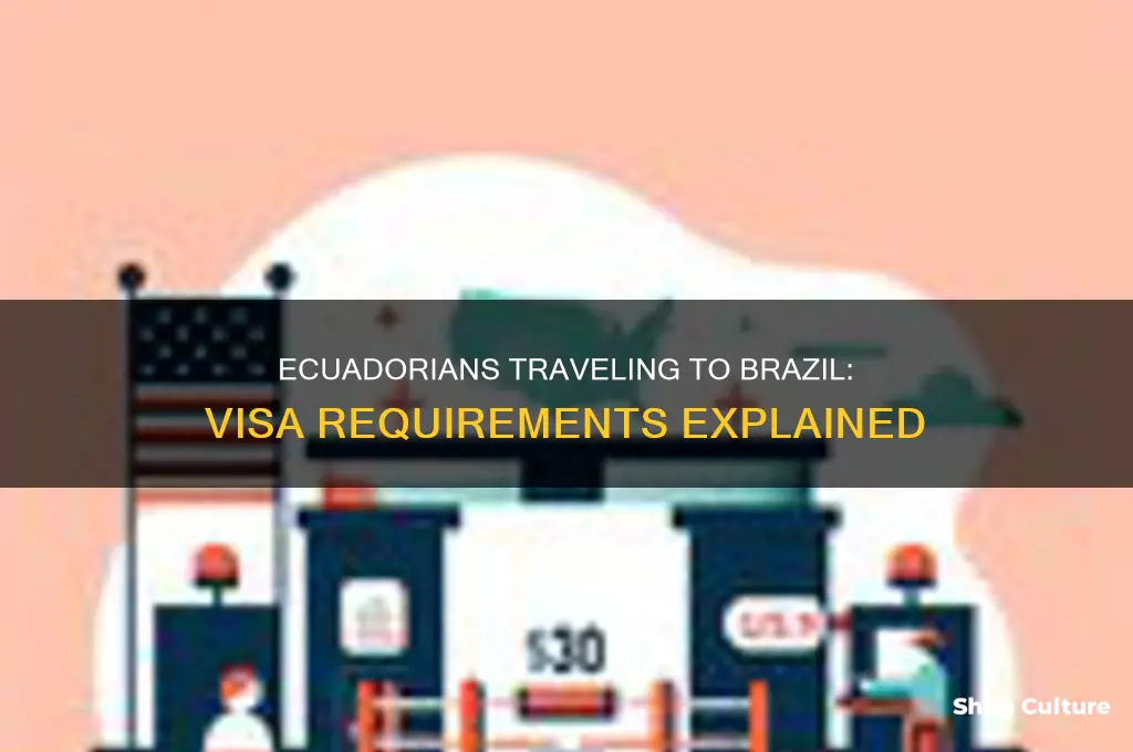 do ecuadorians need visa for brazil