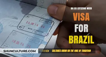 EU Citizens Traveling to Brazil: Visa Requirements Explained