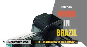 Do EU Plugs Work in Brazil? Travel Adapter Guide