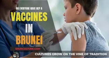 Hep A Vaccines in Brunei: Who's Protected?