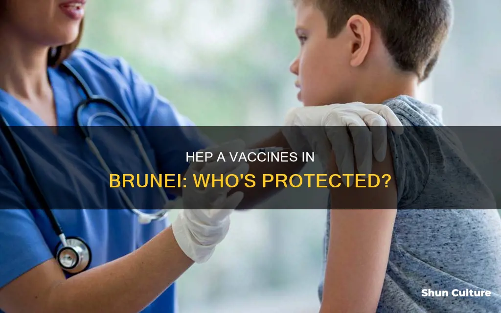 do everyone have hep a vaccines in brunei