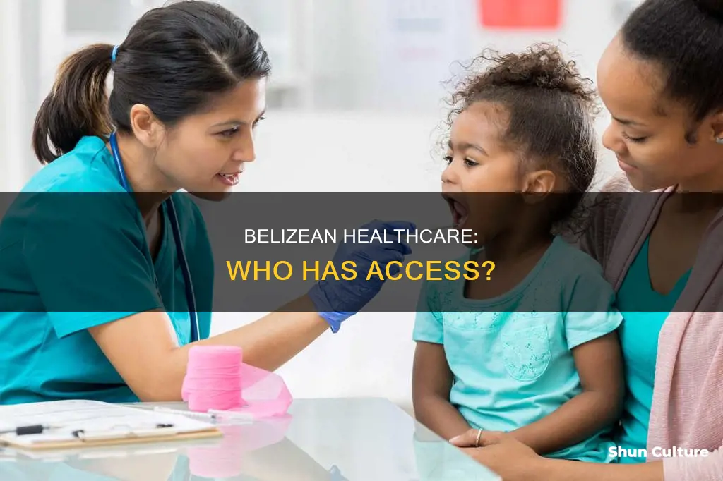 do families in belize have access to health care