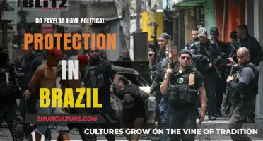 Favelas and Political Safeguards: Brazil's Complex Urban Reality Explored