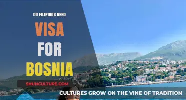 Do Filipinos Need a Visa for Bosnia? Travel Requirements Explained