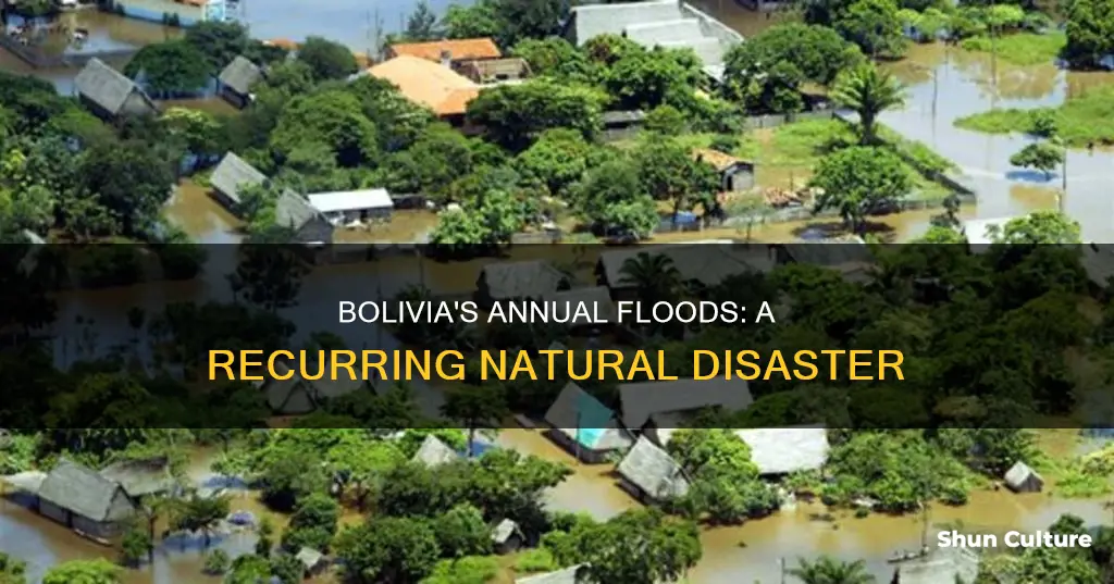 do floods happen annually in bolivia