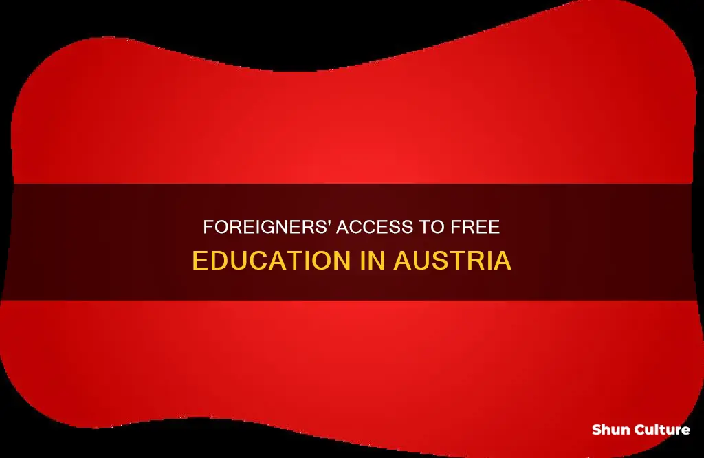 do foreigners have to pay for school in austria