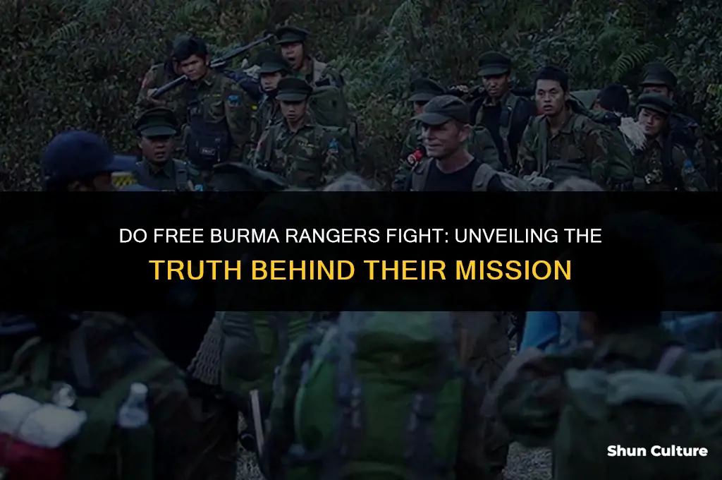 do free burma rangers fight