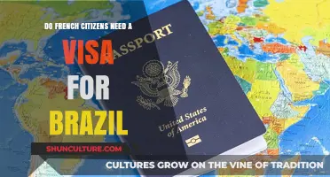 Do French Citizens Need a Visa for Brazil? Travel Guide