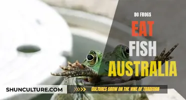 Frogs' Appetite for Fish: An Australian Perspective