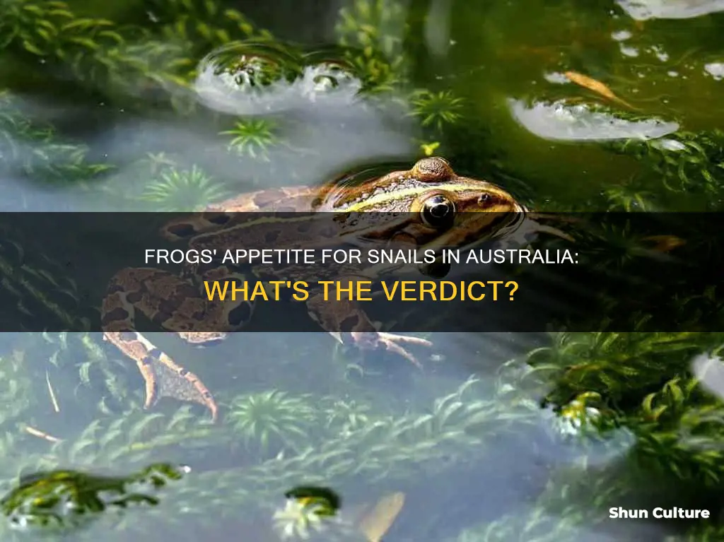 do frogs eat snails australia