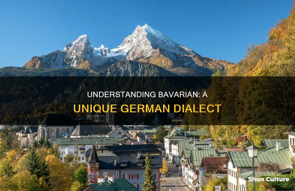 do germans understand bavarian